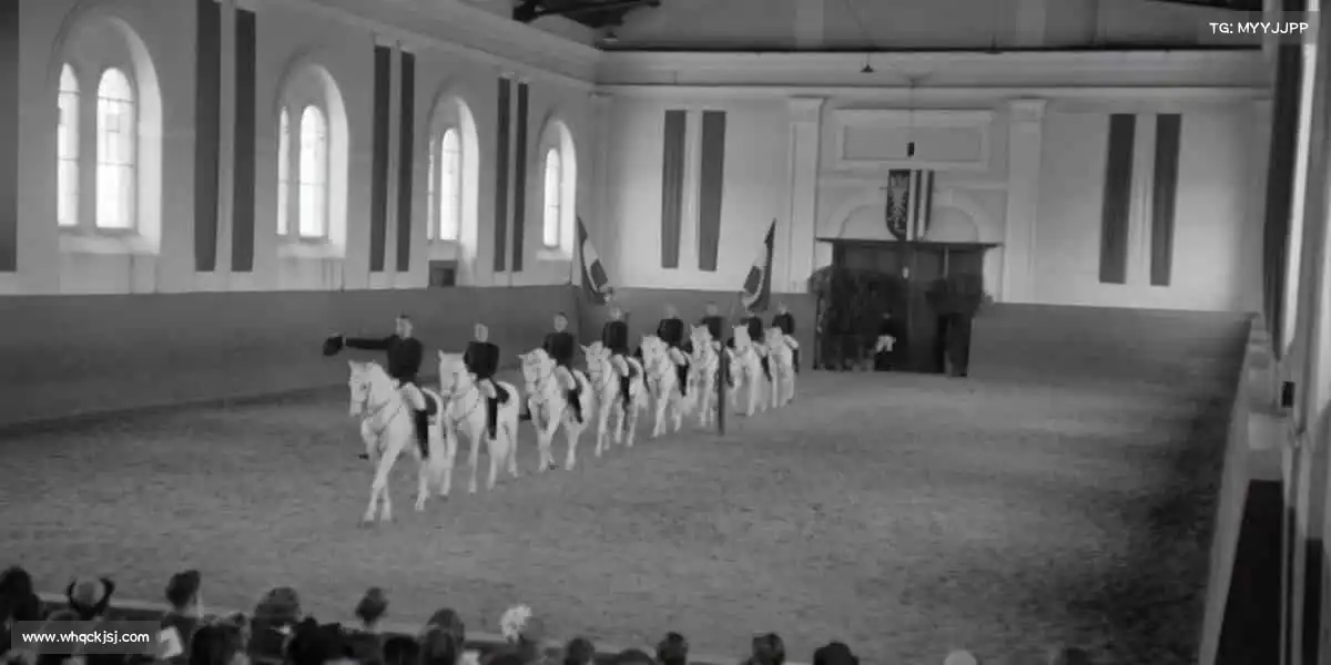 <strong>DB电竞官网</strong>从这里出发，解锁你的运动新可能！🌟